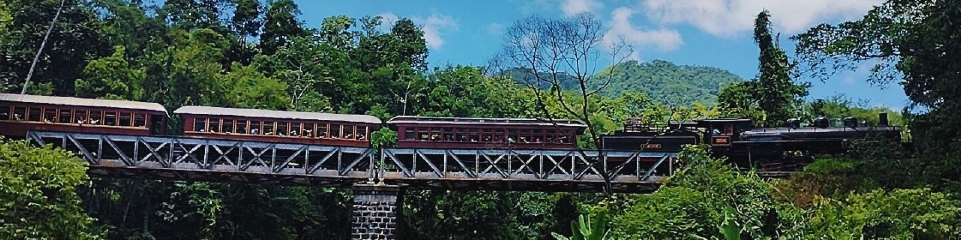 Banner principal do site: Rio Negrinho SC: Descubra a Histórica Maria Fumaça, Aventura e Ecoturismo 