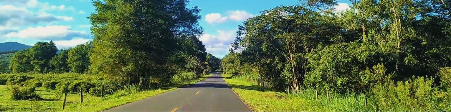 Banner principal do site: São Miguel Arcanjo: Conheça uma Estrada Cênica que atravessa a Mata Atlântica