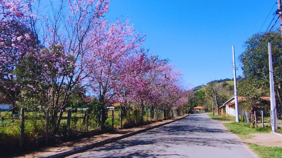 Estrada Armando Pereira Goulart - São Bento do Sapucaí - SP