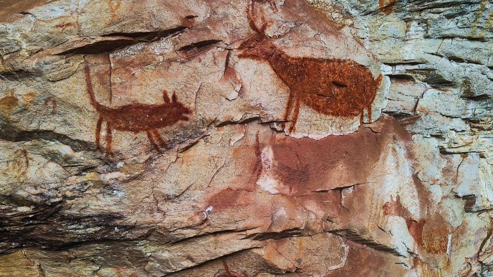 [Imagem de introdução de Cocais]