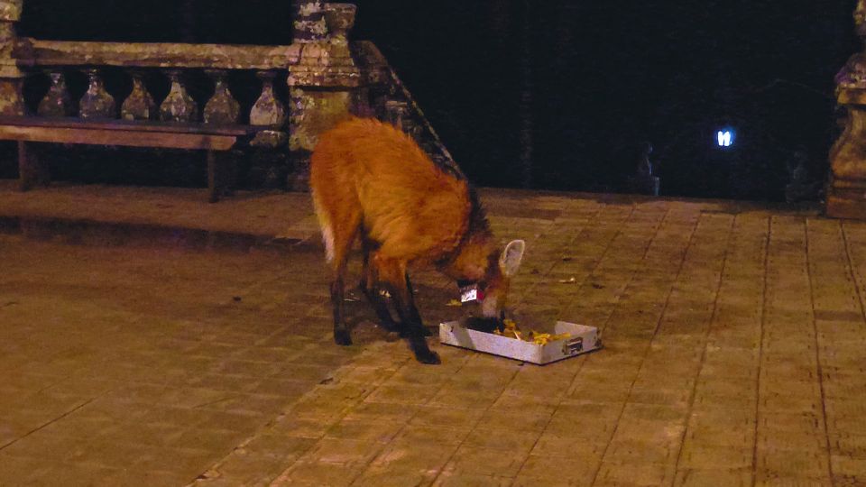 [Imagem de Santuário do Caraça]