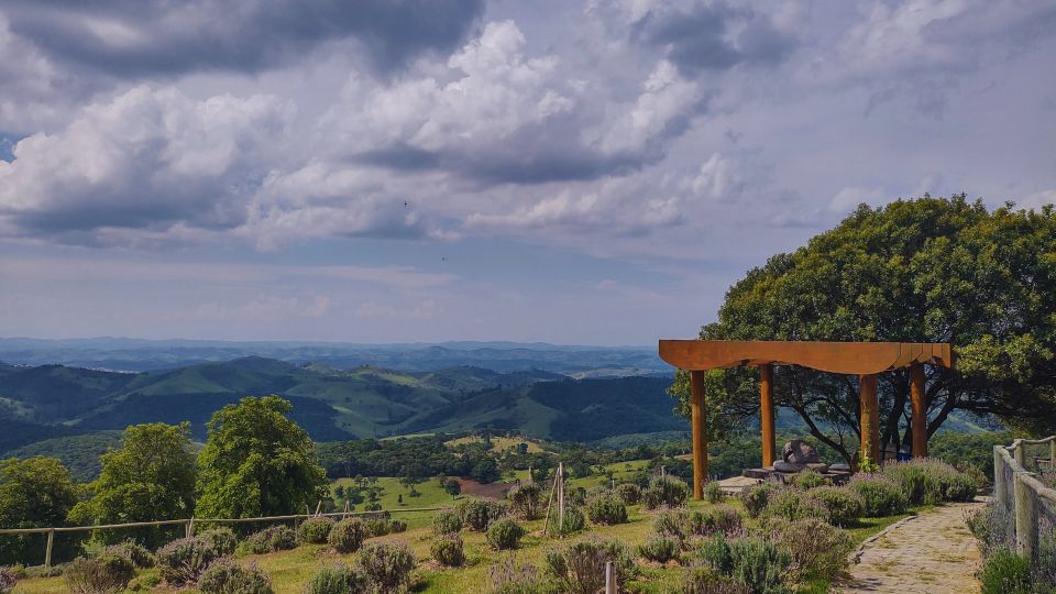 [Imagem de O Lavandário]