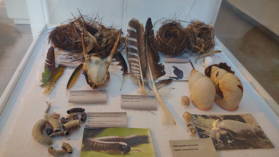 [Imagem de Museu Peter Lund e Museu Arqueológico da Lapinha]