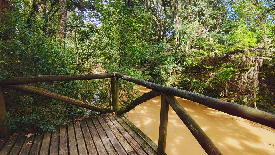 [Imagem de Parque Municipal Paul Harris]