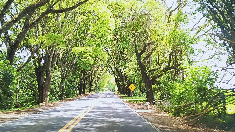 [Imagem de Colônia Witmarsum]
