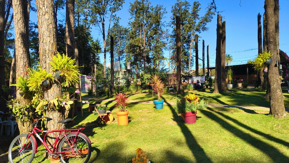[Imagem de Parque Van Gogh]