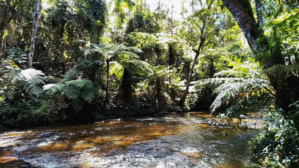 Foto de Ótimo ponto para banhos refrescantes no Rio Taquaral
