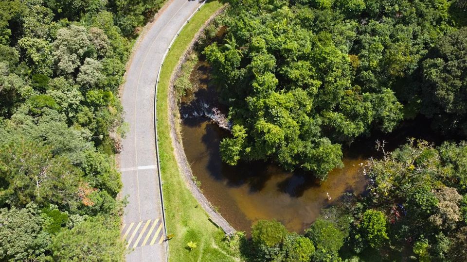 Foto de Vista aérea da RPPN Parque Taquaral da Mata Atlântica