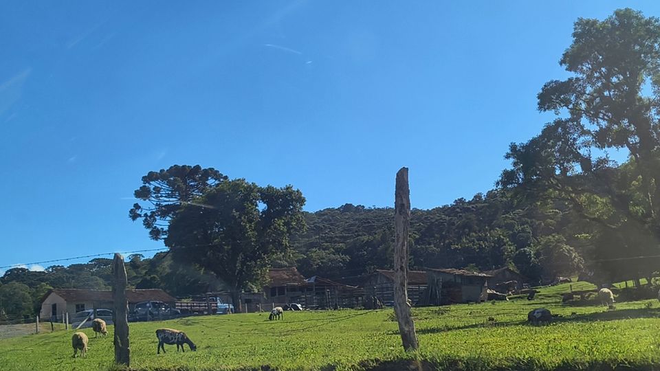 [Imagem de introdução de Campo Alegre]