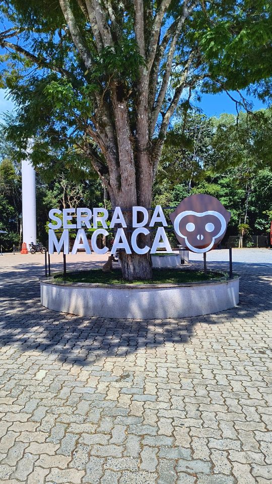 [Imagem de São Miguel Arcanjo]