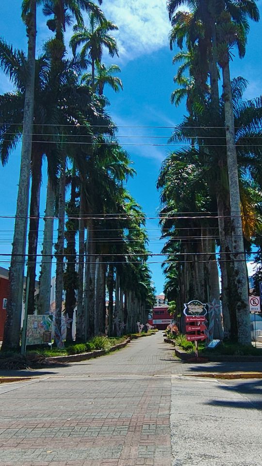[Imagem de Joinville]