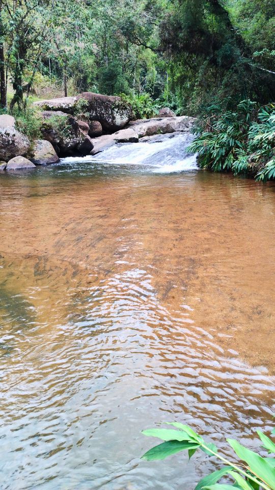 [Imagem de Gonçalves]