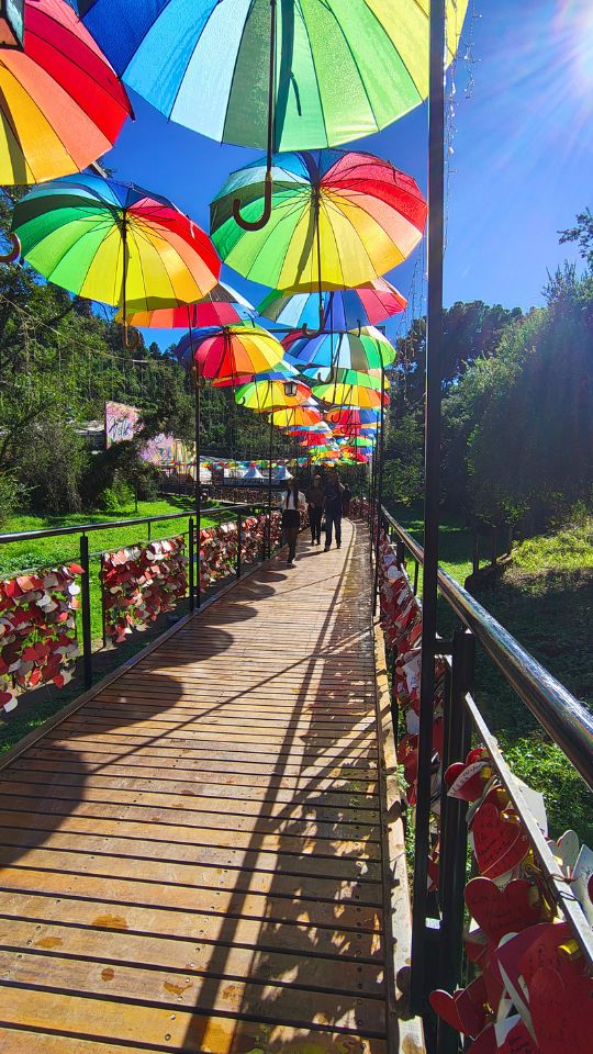 [Imagem de Campos do Jordão]