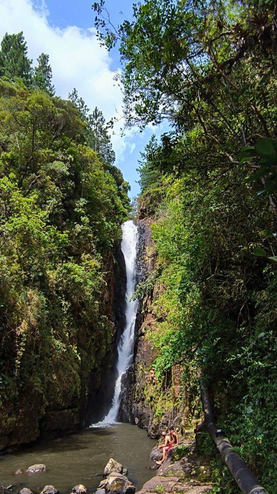 Campo Alegre