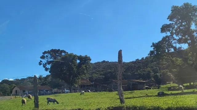 Imagem de Campo Alegre
