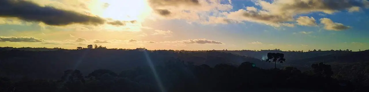 Banner principal do site: Diário de Bordo: 
        Rio Negrinho, a Fazenda Evaristo e a Estrada Dona Francisca