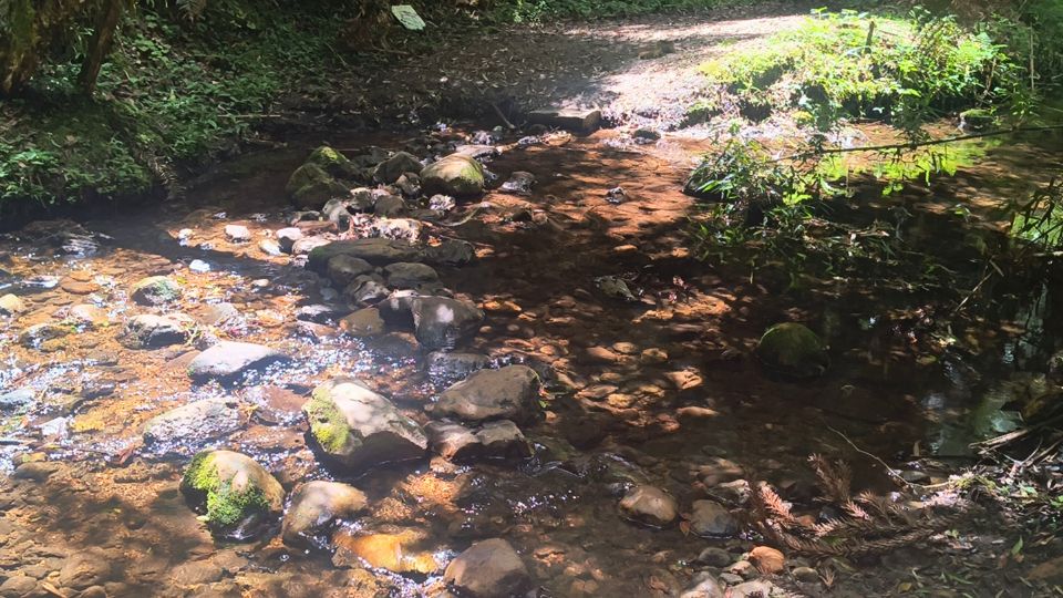 Segunda parte da trilha, passando por dentro do rio