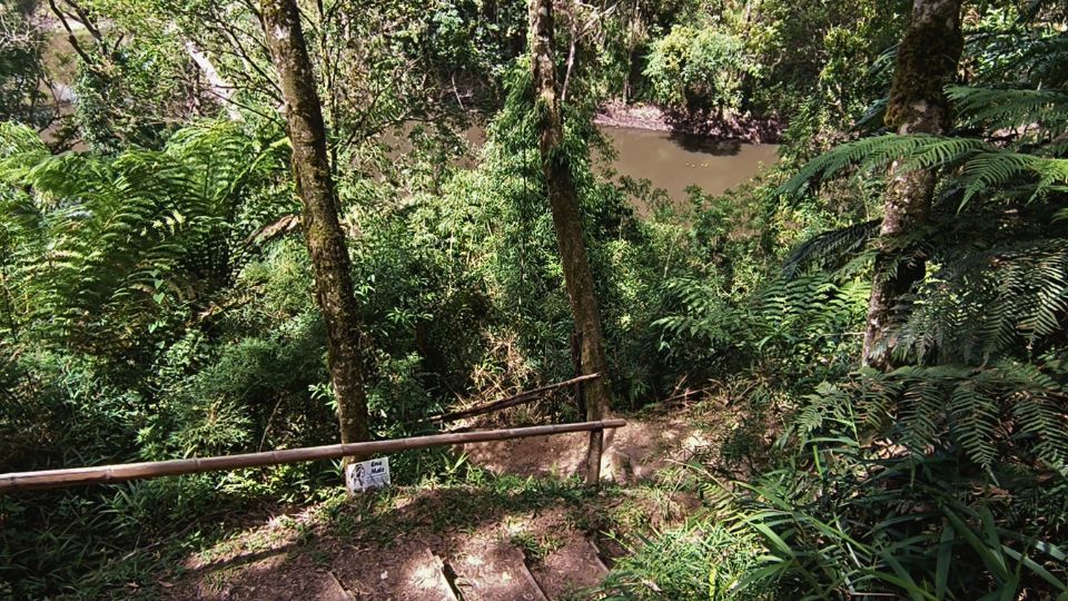 Foto de uma das descidas/subidas de escada no início da trilha