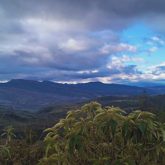 Paisagem da Serra de São José, entre Itapanhoacanga e Santo Antônio do Norte