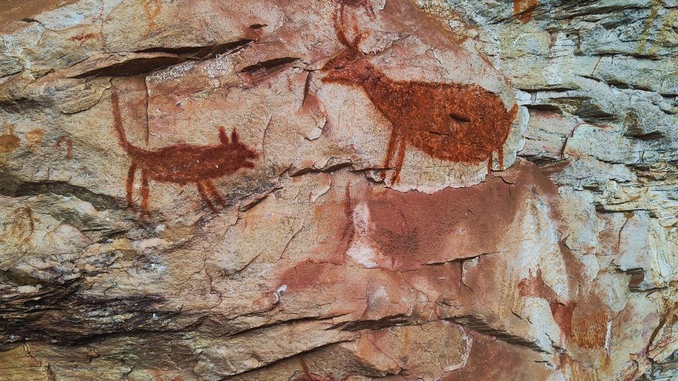 Desenhos em cor vermelha sobre a pedra representando animais - Sítio Pedra Pintada - Cocais - MG