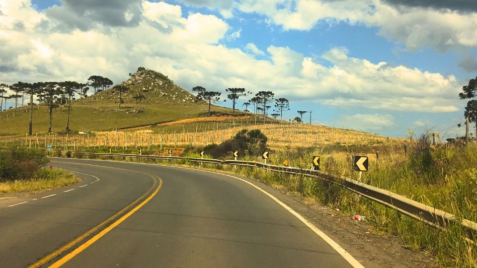 Paisagem da Rodovia SC-110 na Serra Catarinense, com araucárias e campos de altitude