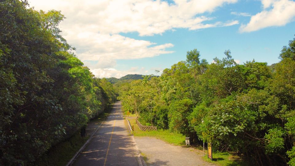 Estrada com pavimento intertravado cercada pela vegetação densa da Mata Atlântica na Serra da Macaca